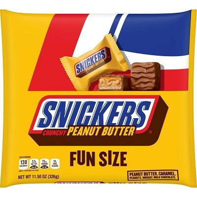 FUN SIZE SNICKER'S PEANUT BUTTER 11.5OZ