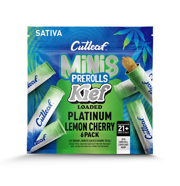 CUTLEAF MINI KIEF LOADED 6PK-PLAT LEMON CHERRY