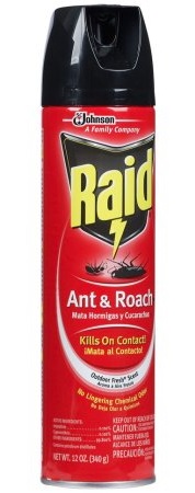 RAID ANT & ROACH 12OZOUTDOOR FRESH SCENT