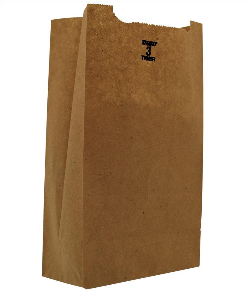 PAPER BAGS #3