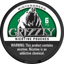 GRIZZLY 6MG NICOTINE POUCH WINTERGREEN