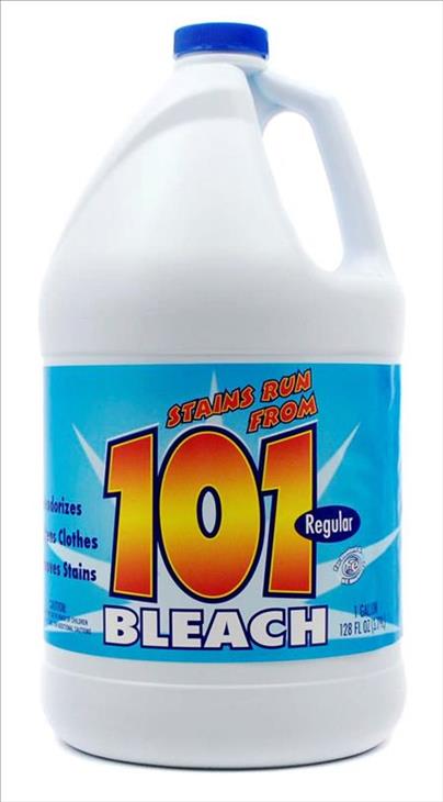 101 BLEACH 2% REGULAR 6/1GAL