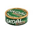 SKOAL POUCHES WINTERGREEN (0.82OZ)