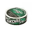 SKOAL XTRA LONG CUT WINTERGREEN (1.2OZ)