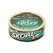 SKOAL XTRA POUCH WINTERGREEN (0.82OZ)